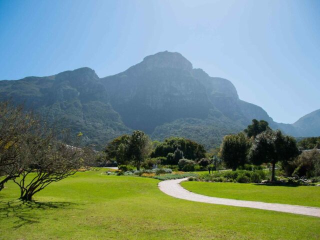 https://li.smartsky.work/wp-content/uploads/2018/08/post_capetown_04-640x480.jpg