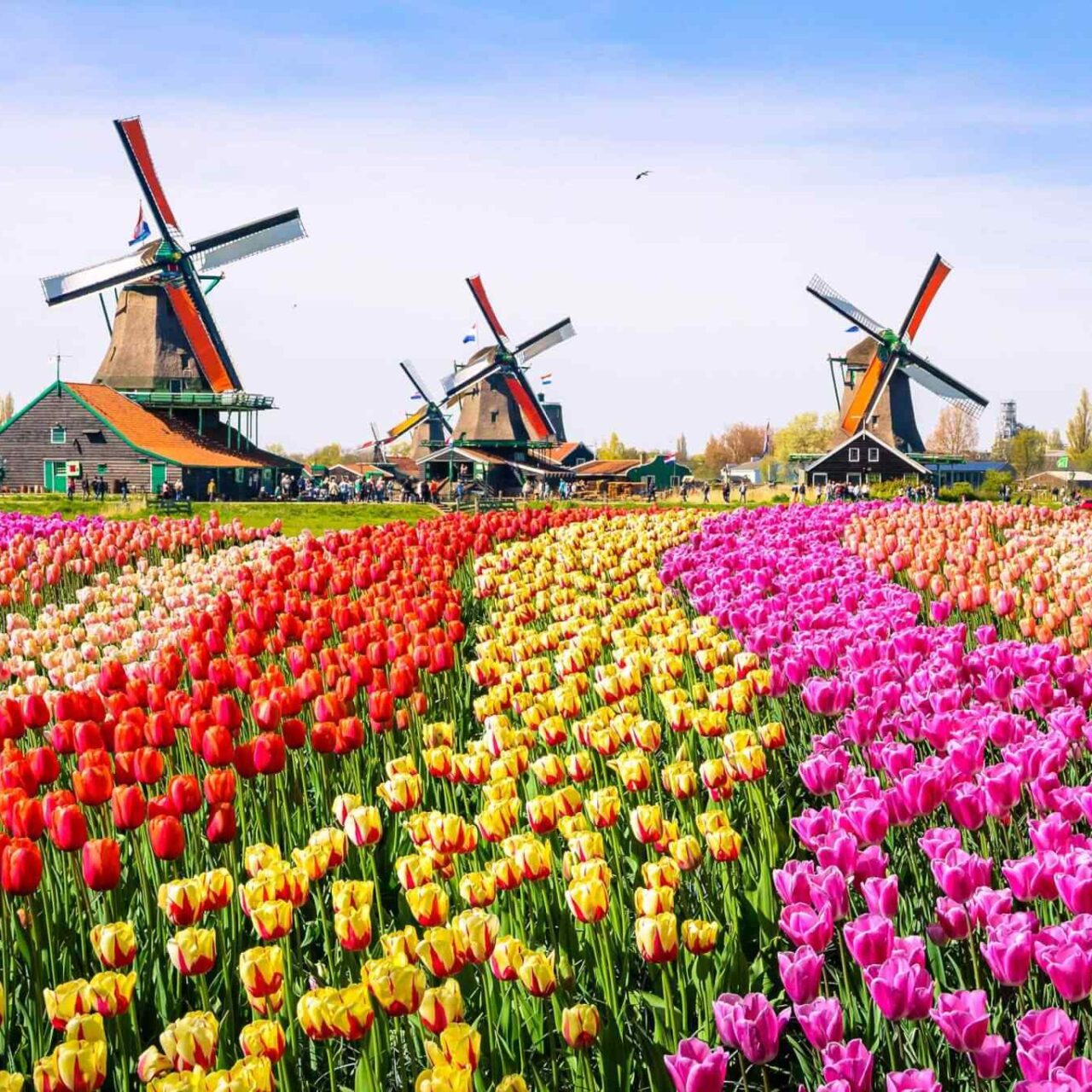 https://li.smartsky.work/wp-content/uploads/2018/09/destination-netherlands-01-1280x1280.jpg