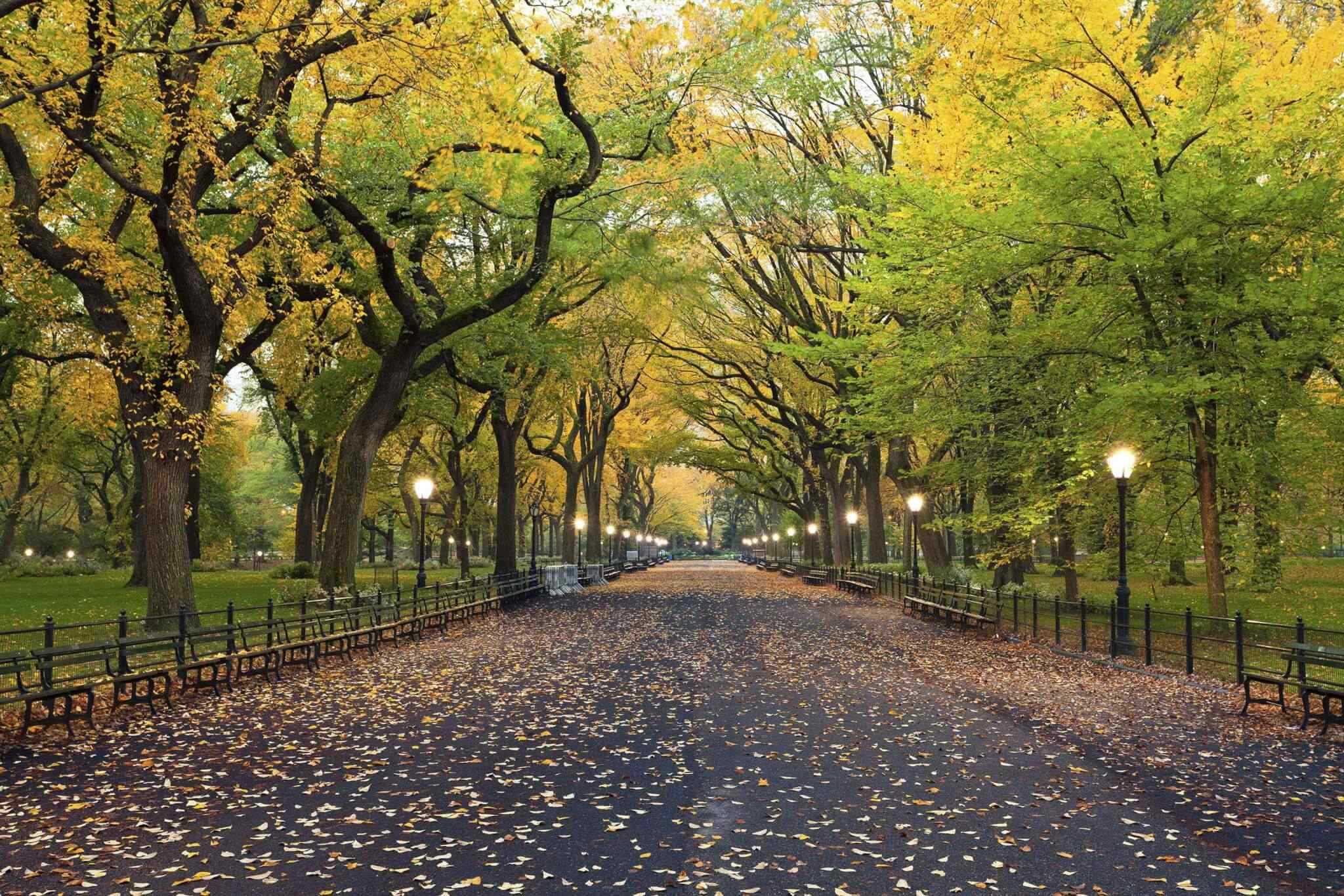 https://li.smartsky.work/wp-content/uploads/2018/09/destination-new-york-02.jpg