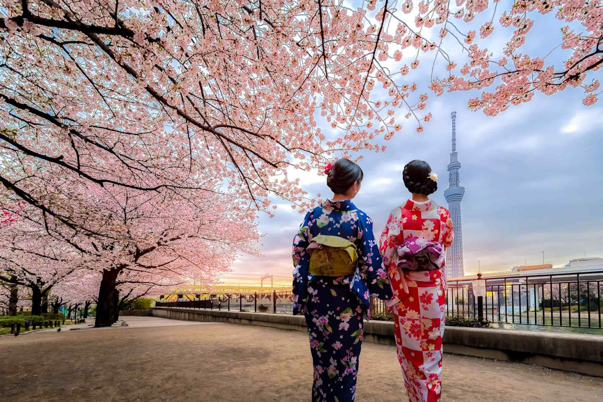 https://li.smartsky.work/wp-content/uploads/2018/09/destination-tokyo-03.jpg