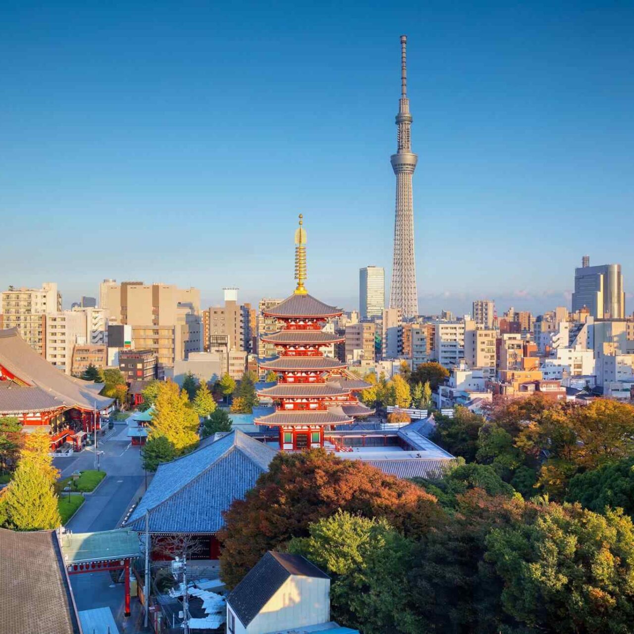 https://li.smartsky.work/wp-content/uploads/2018/09/destination-tokyo-04-1280x1280.jpg
