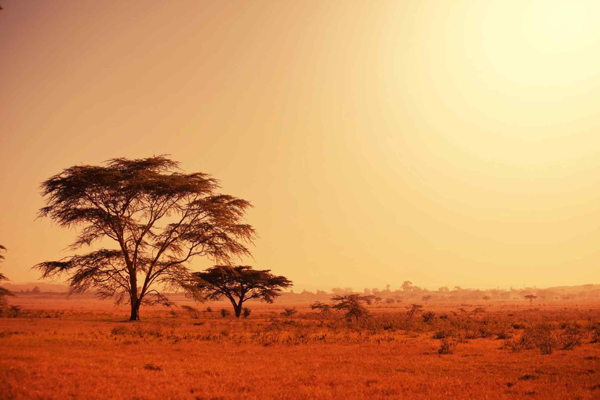 tour-africa-02 https://li.smartsky.work/wp-content/uploads/2018/09/tour-africa-02.jpg