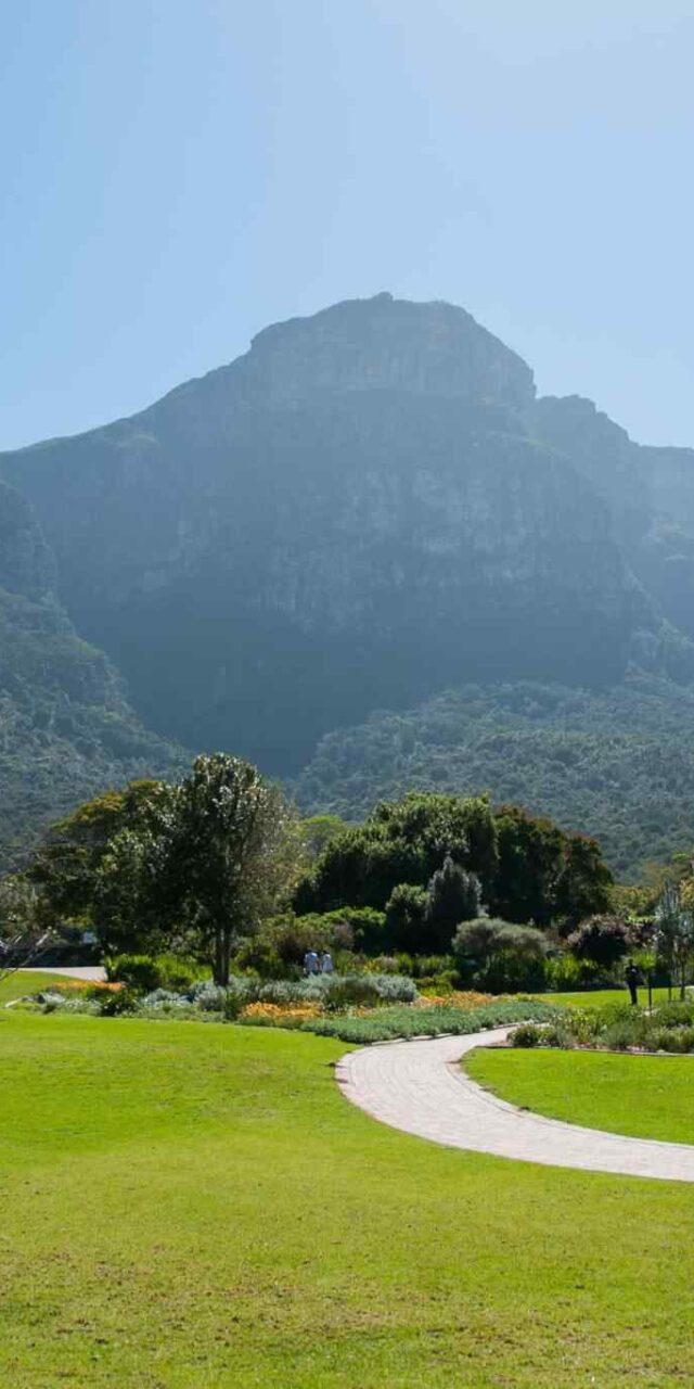 https://li.smartsky.work/wp-content/uploads/2018/09/tour-capetown-03-640x1280.jpg