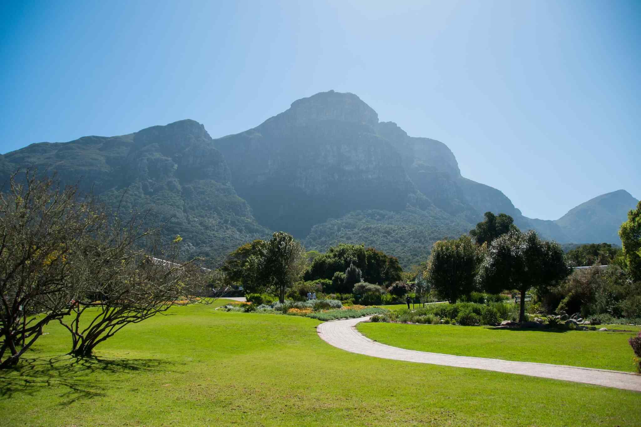 https://li.smartsky.work/wp-content/uploads/2018/09/tour-capetown-03.jpg