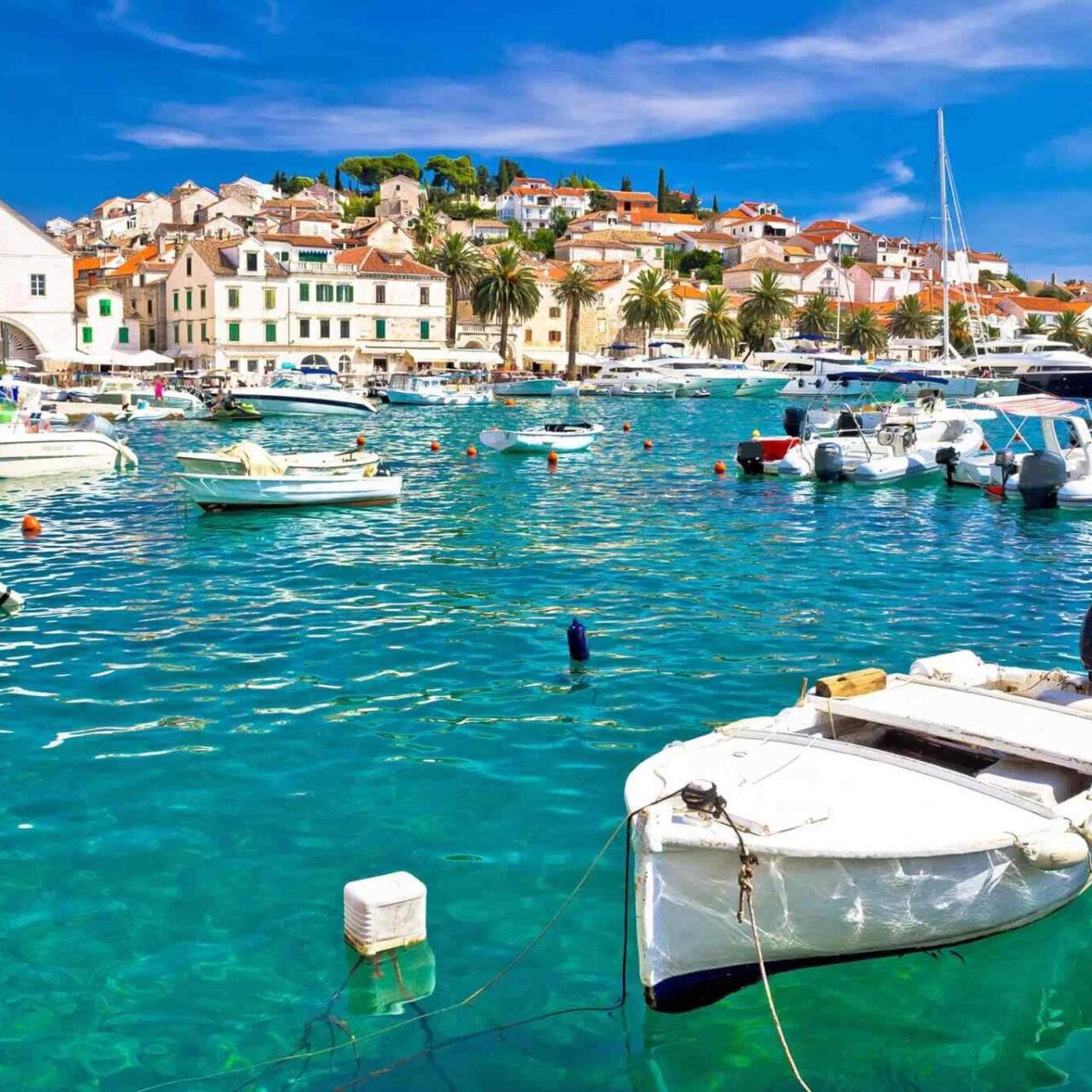 Blue Dalmatia