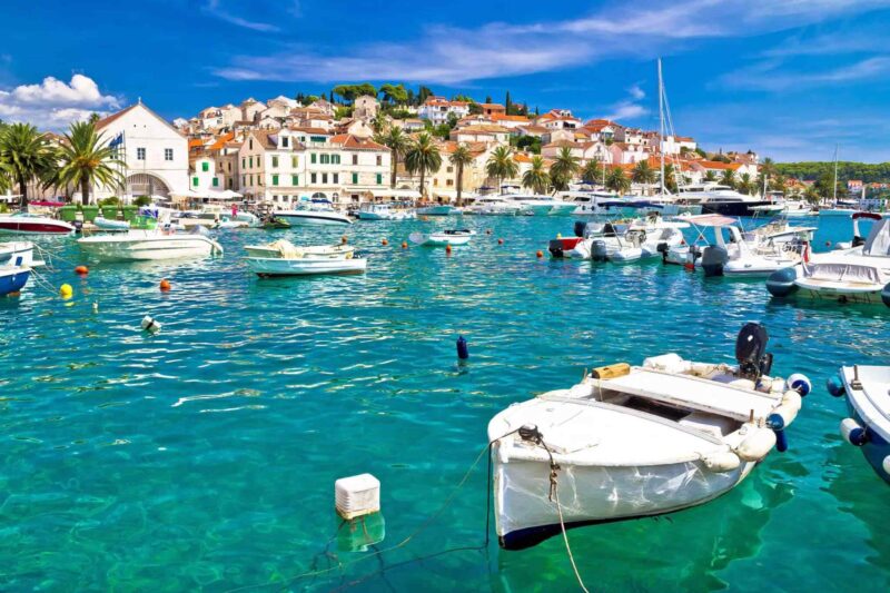 Blue Dalmatia