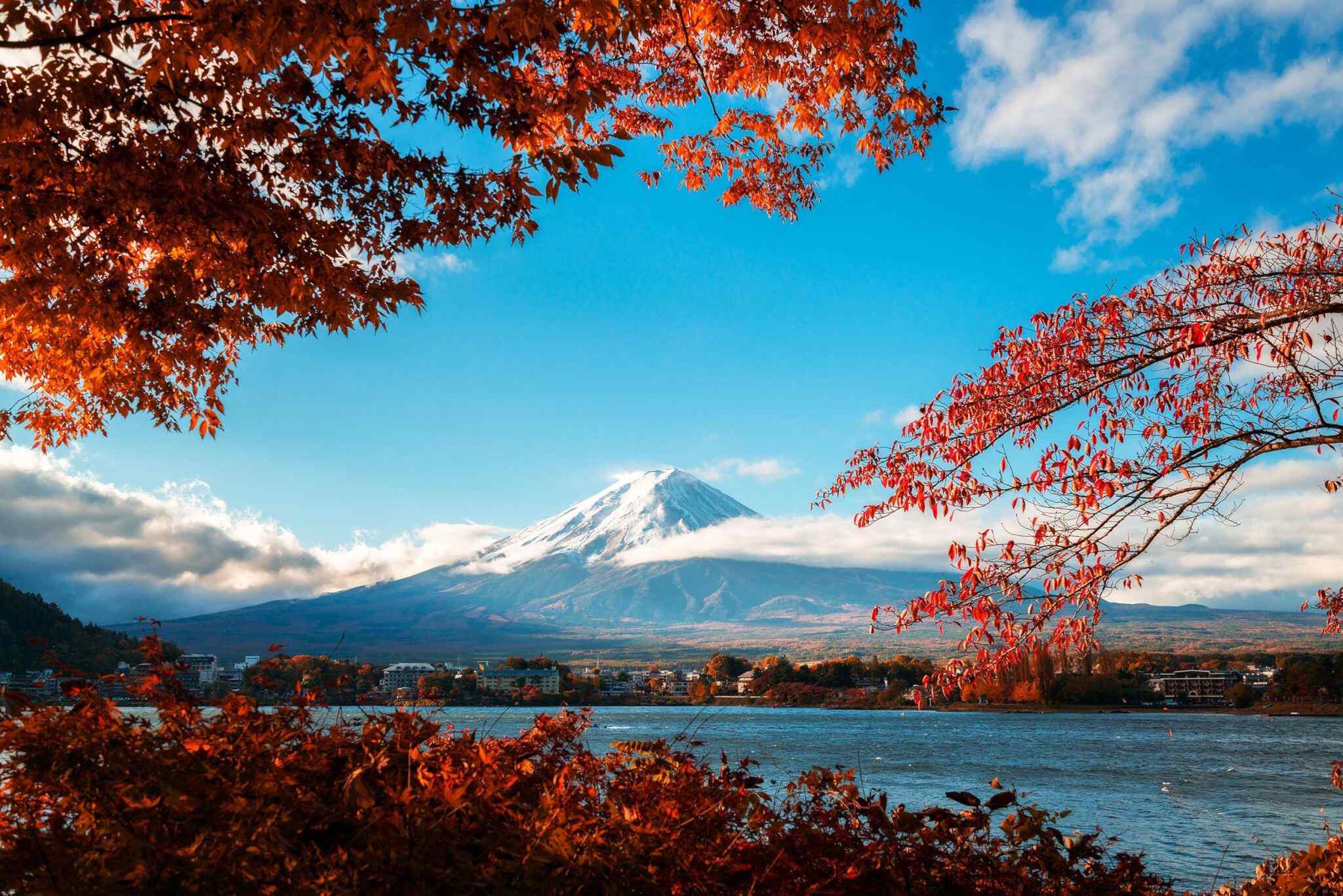 tour-fuji-04 https://li.smartsky.work/wp-content/uploads/2018/09/tour-fuji-04.jpg