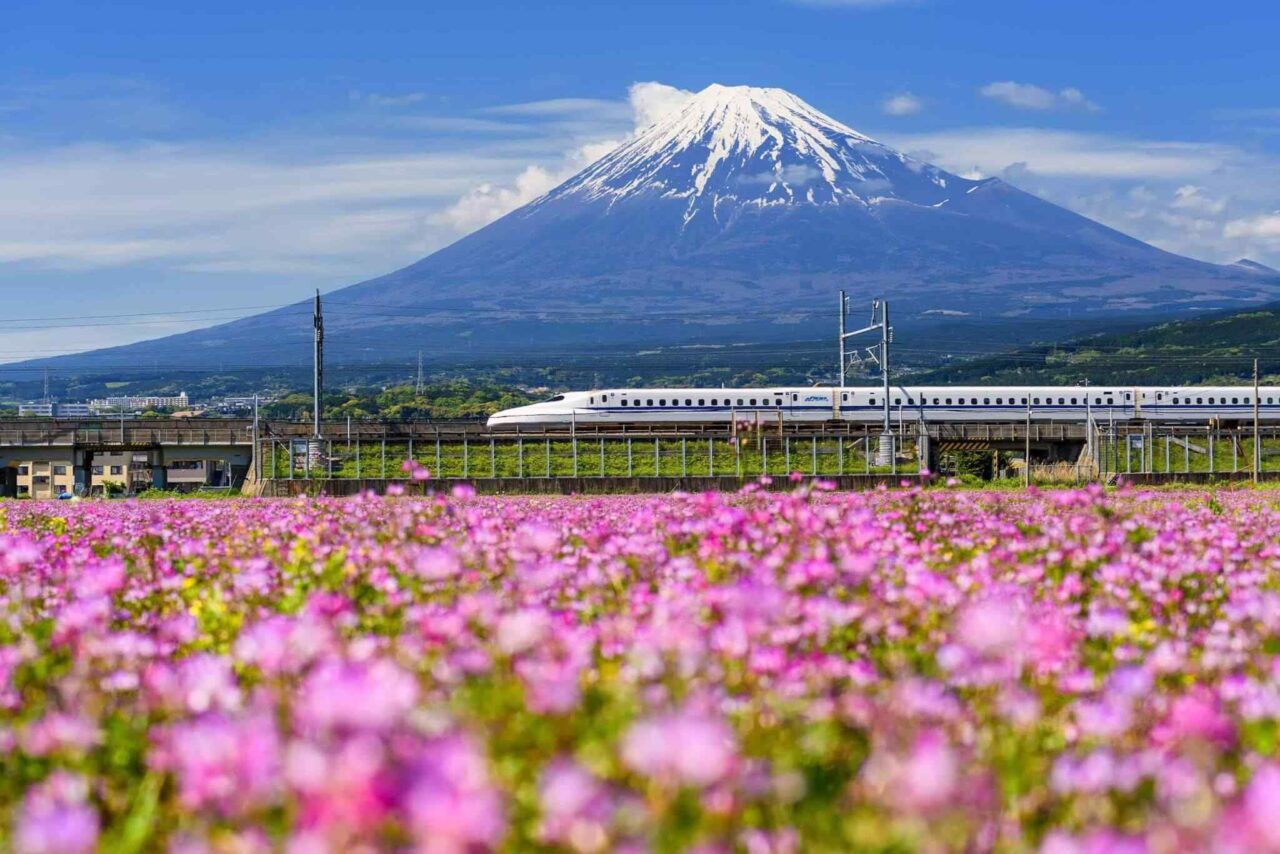 https://li.smartsky.work/wp-content/uploads/2018/09/tour-osaka-04-1280x854.jpg